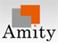 Amity Projects (India) Pvt. Ltd.